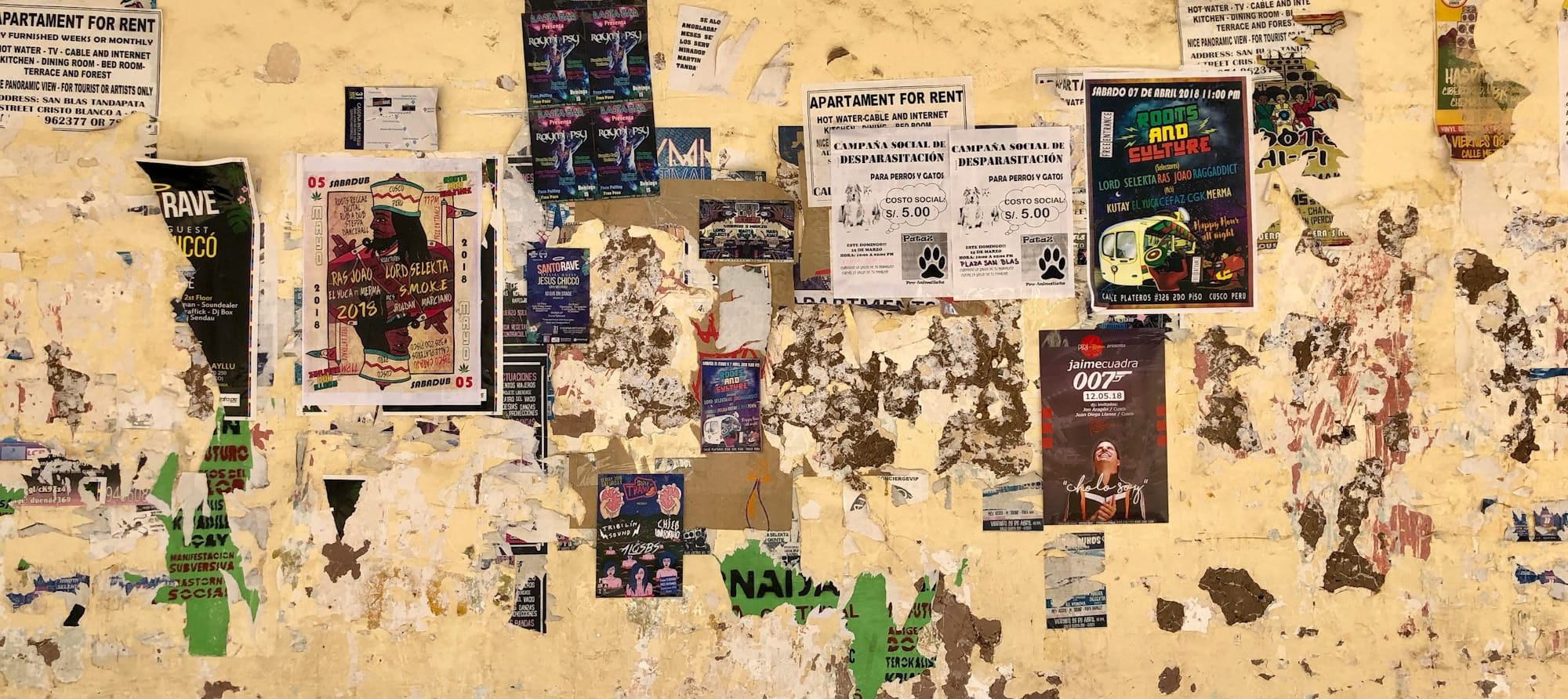 assorted posters on brown wall